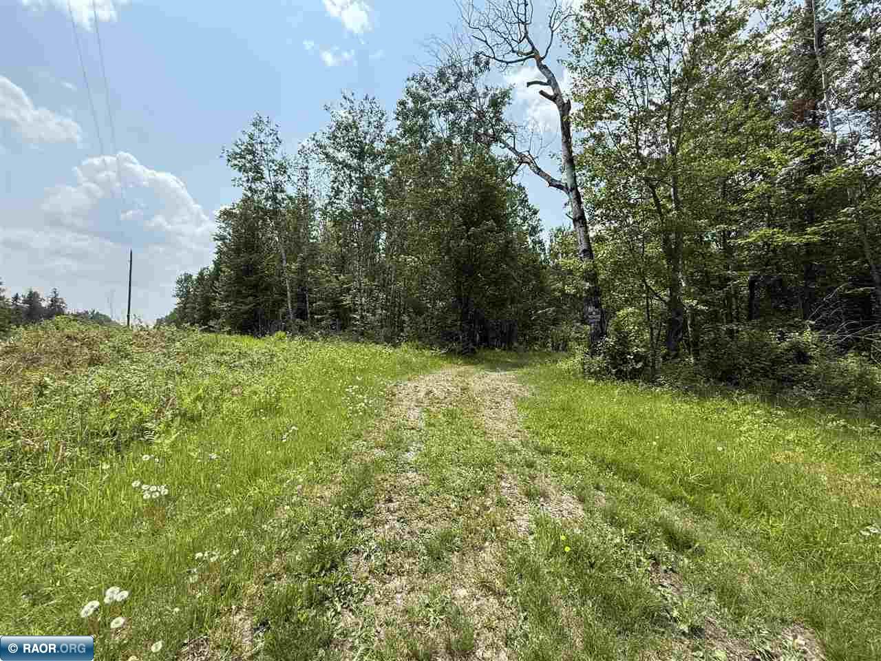 Tbd Tbd Samuelson Road-sec22 Angora, MN 55703 - Photo 1 of 43