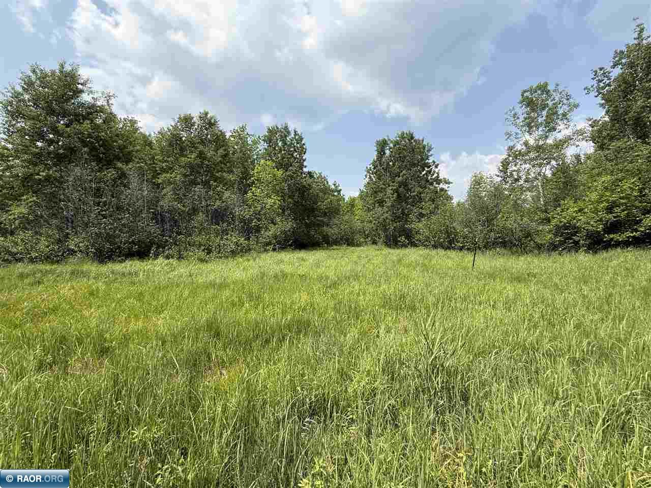 Tbd Tbd Samuelson Road-sec22 Angora, MN 55703 - Photo 11 of 43