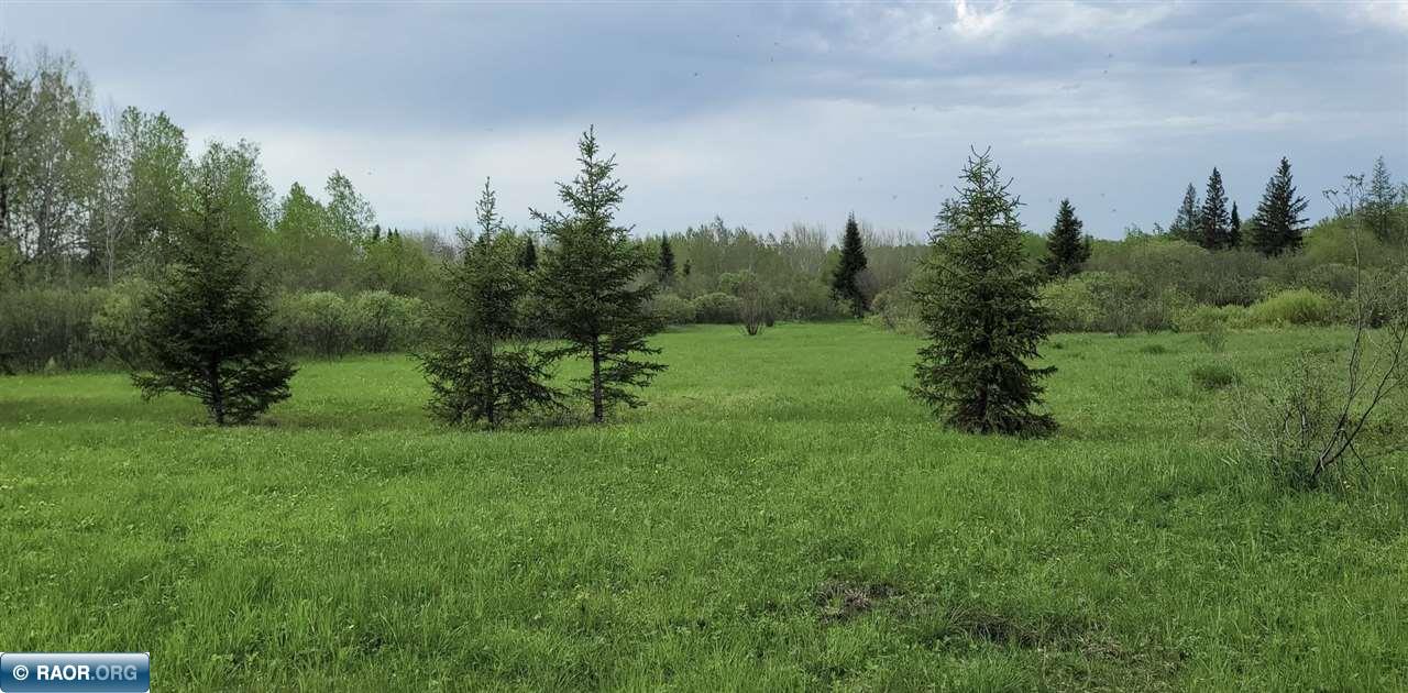 Tbd Tbd Samuelson Road-sec22 Angora, MN 55703 - Photo 18 of 43