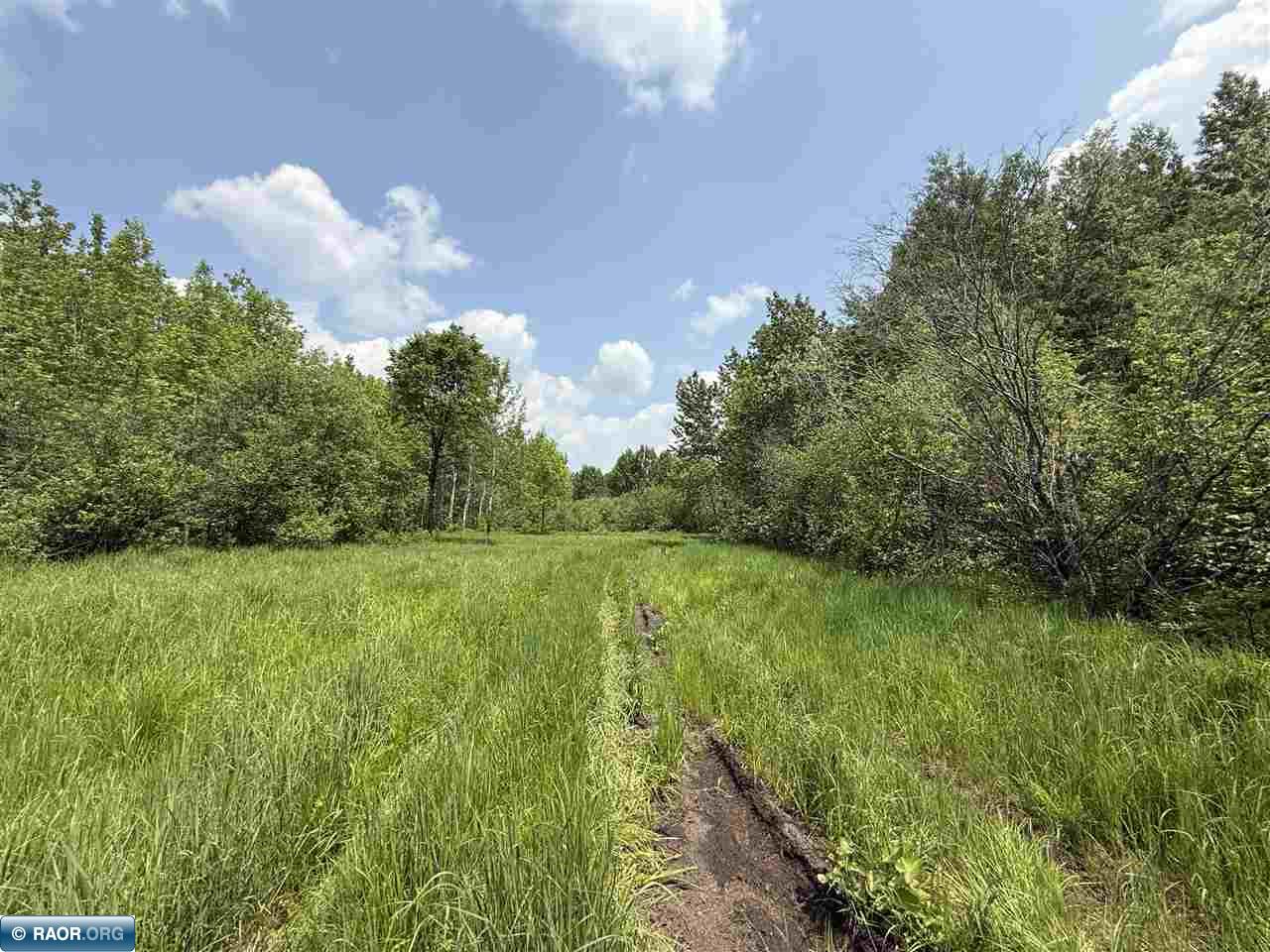 Tbd Tbd Samuelson Road-sec22 Angora, MN 55703 - Photo 24 of 43