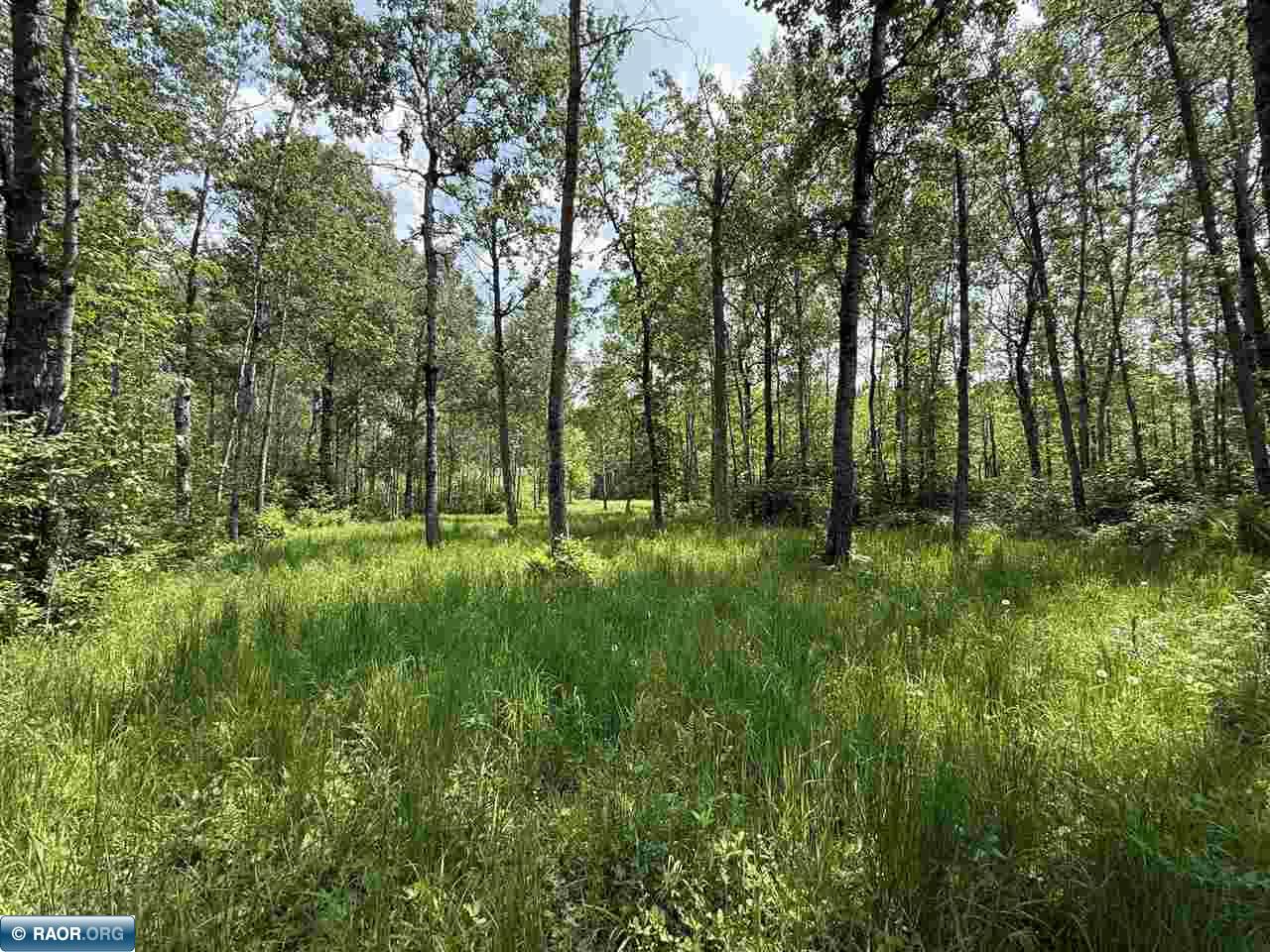 Tbd Tbd Samuelson Road-sec22 Angora, MN 55703 - Photo 25 of 43