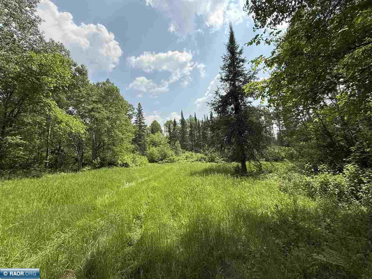 Tbd Tbd Samuelson Road-sec22 Angora, MN 55703 - Photo 26 of 43