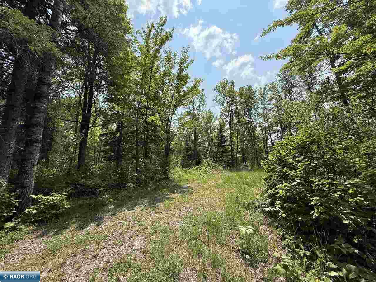 Tbd Tbd Samuelson Road-sec22 Angora, MN 55703 - Photo 27 of 43