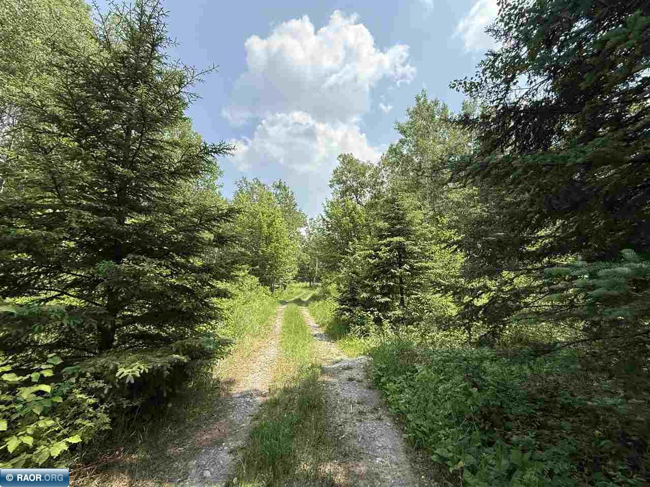 Tbd Tbd Samuelson Road-sec22 Angora, MN 55703 - Photo 28 of 43