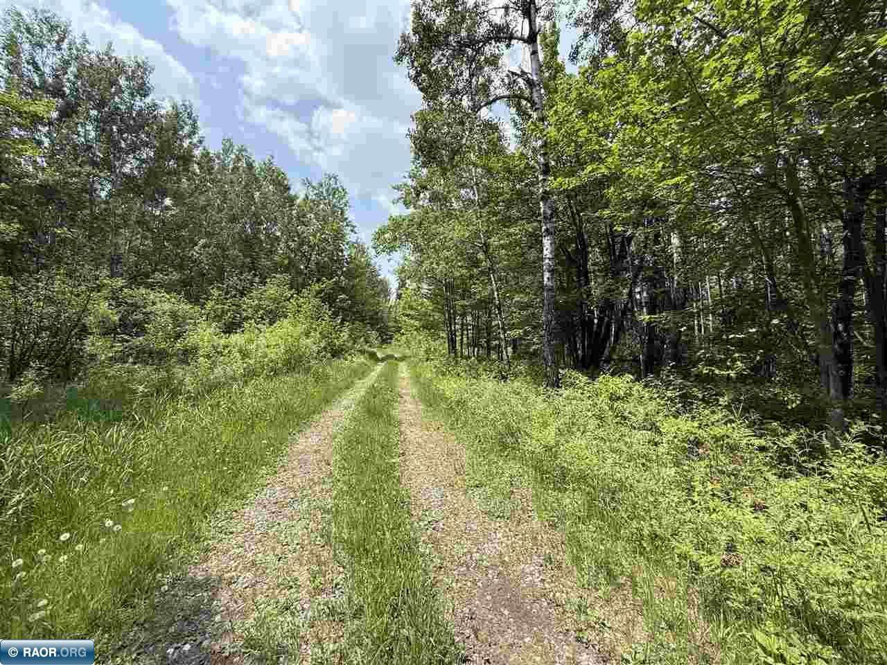 Tbd Tbd Samuelson Road-sec22 Angora, MN 55703 - Photo 3 of 43