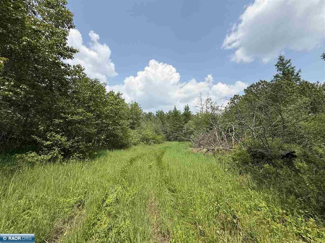 Tbd Tbd Samuelson Road-sec22 Angora, MN 55703 - Photo 38 of 43