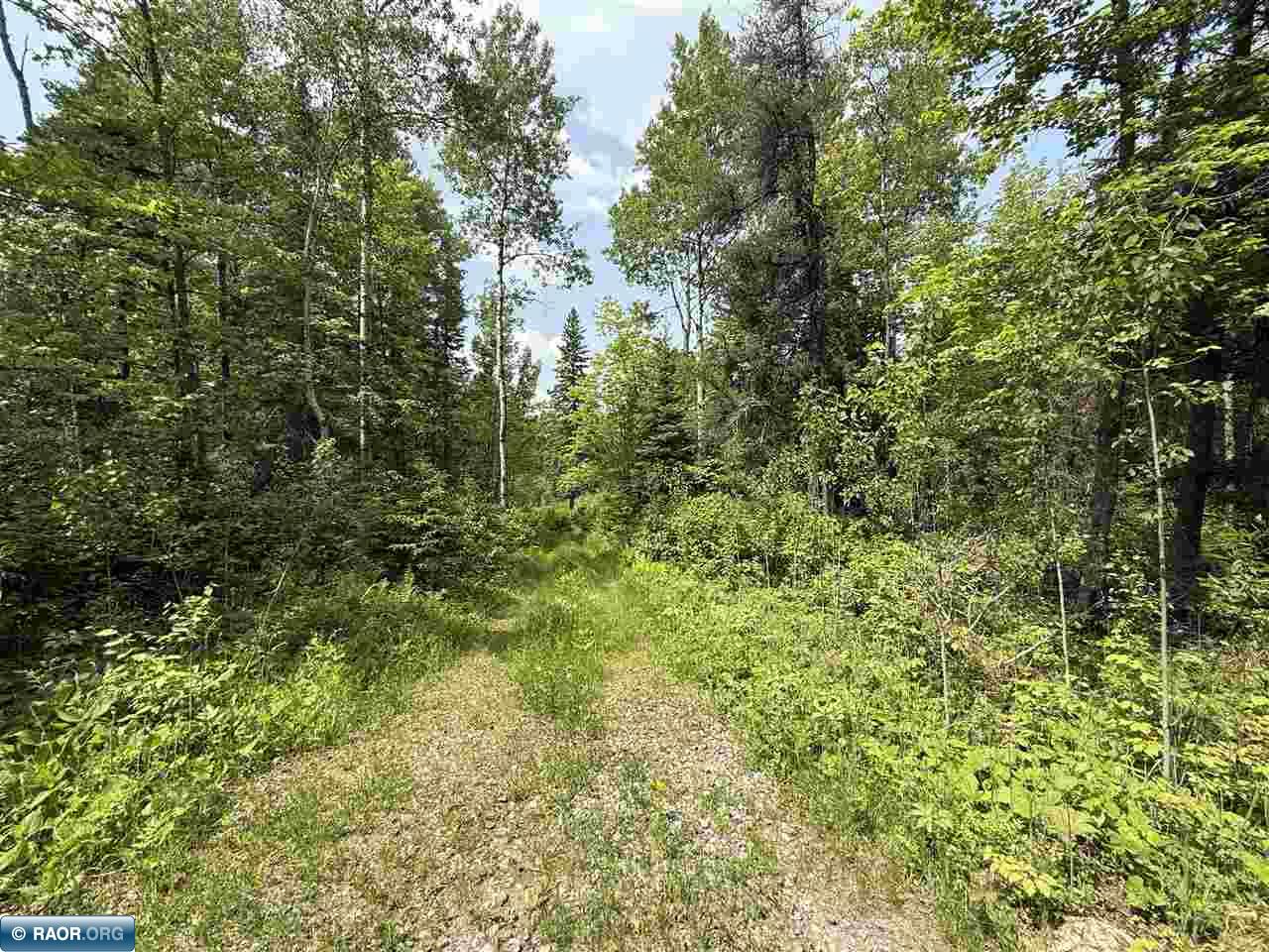 Tbd Tbd Samuelson Road-sec22 Angora, MN 55703 - Photo 4 of 43