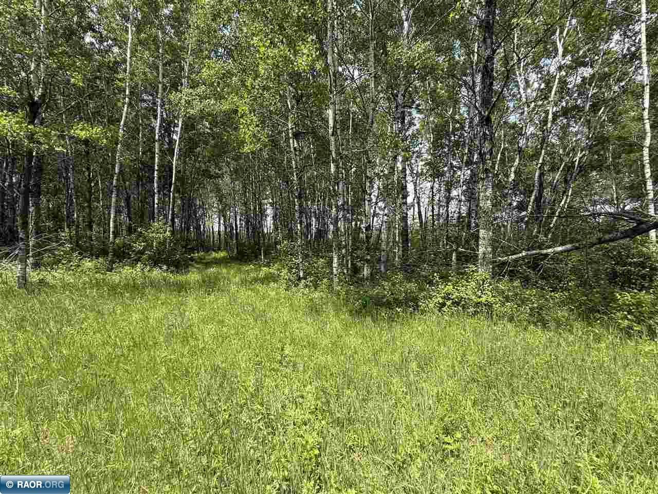 Tbd Tbd Samuelson Road-sec22 Angora, MN 55703 - Photo 41 of 43