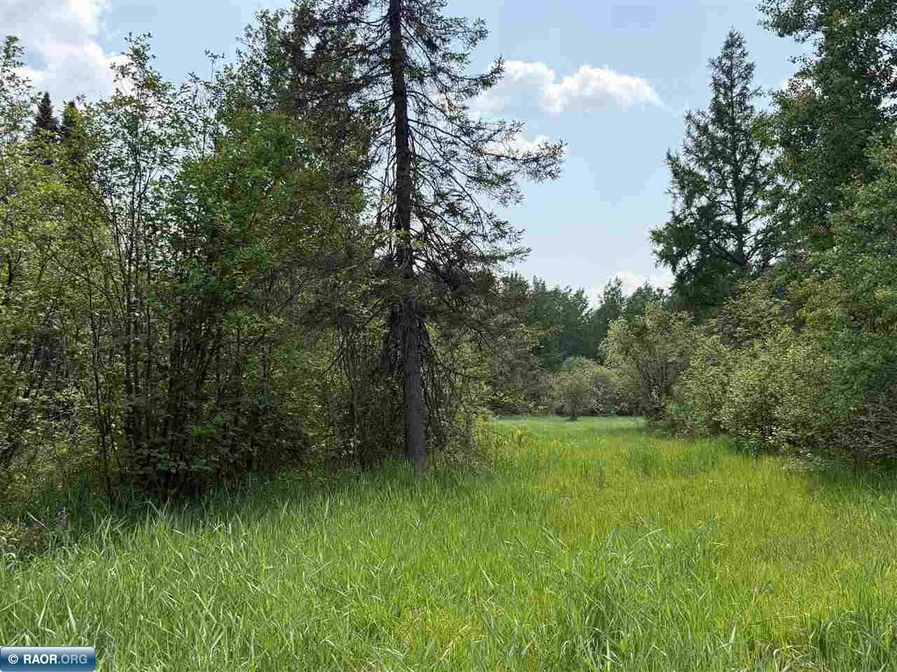 Tbd Tbd Samuelson Road-sec22 Angora, MN 55703 - Photo 43 of 43