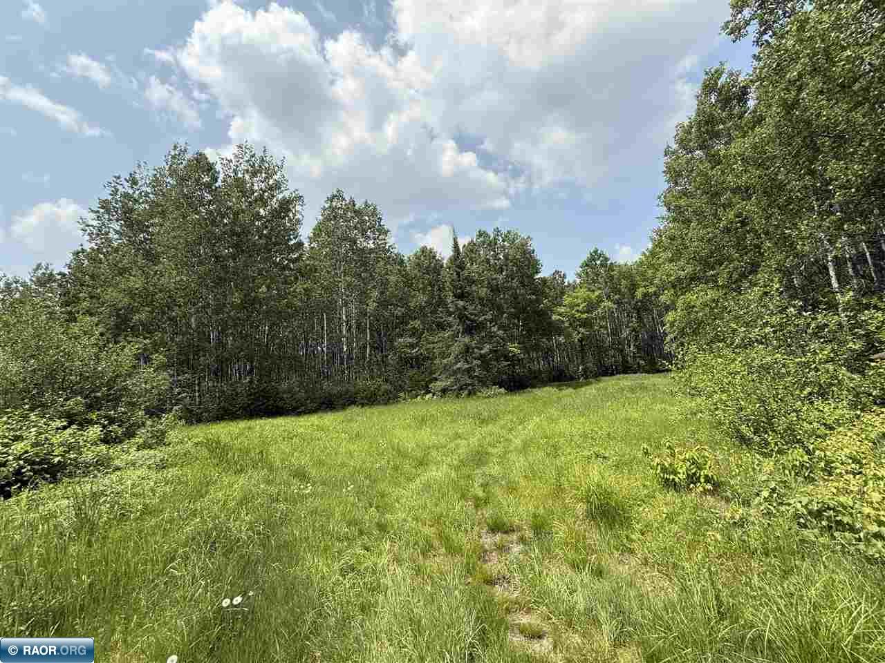 Tbd Tbd Samuelson Road-sec22 Angora, MN 55703 - Photo 5 of 43