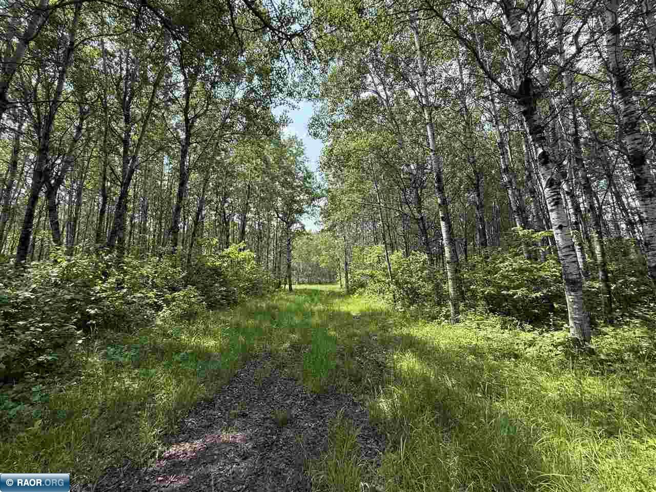 Tbd Tbd Samuelson Road-sec22 Angora, MN 55703 - Photo 6 of 43