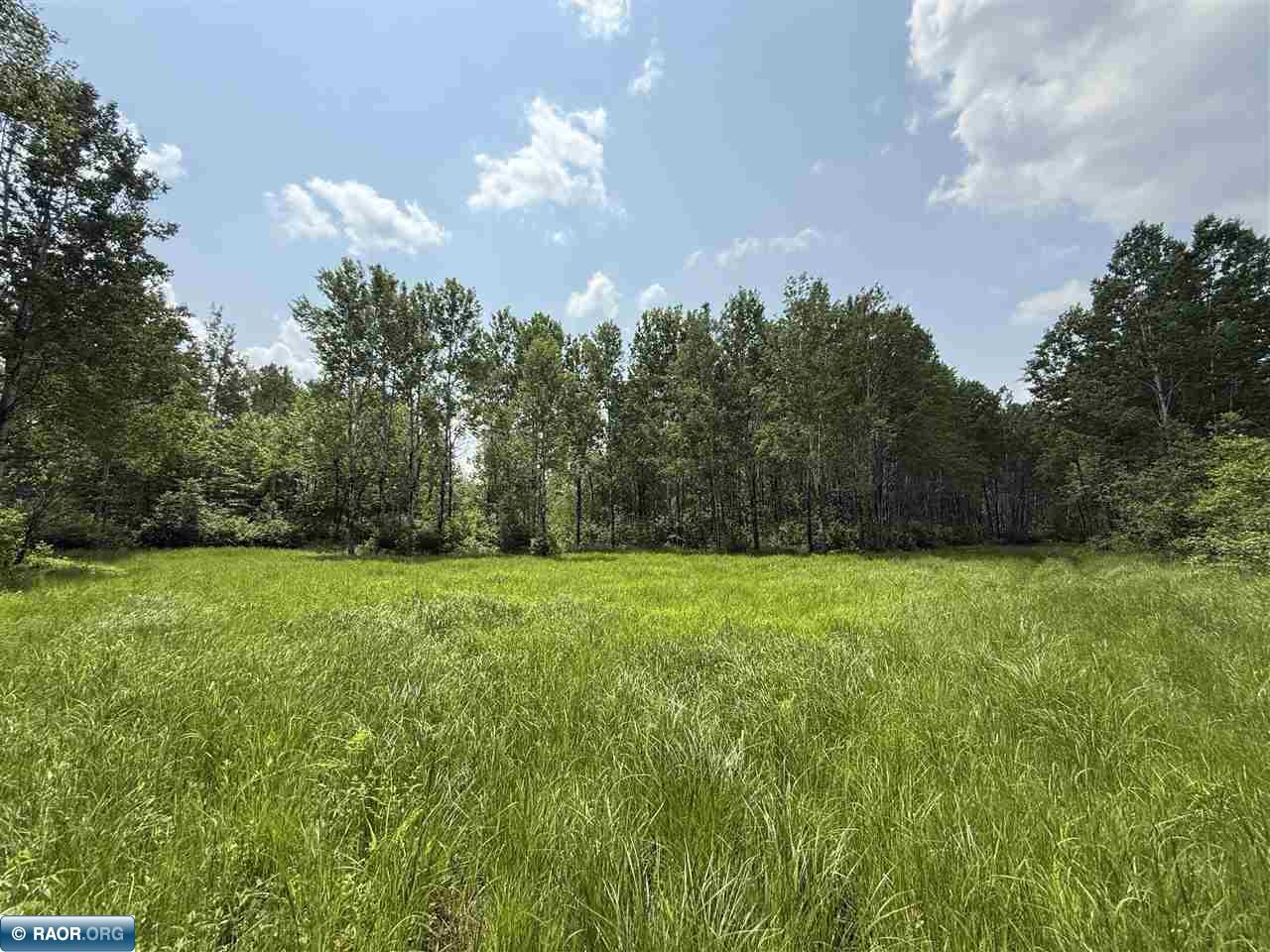 Tbd Tbd Samuelson Road-sec22 Angora, MN 55703 - Photo 7 of 43
