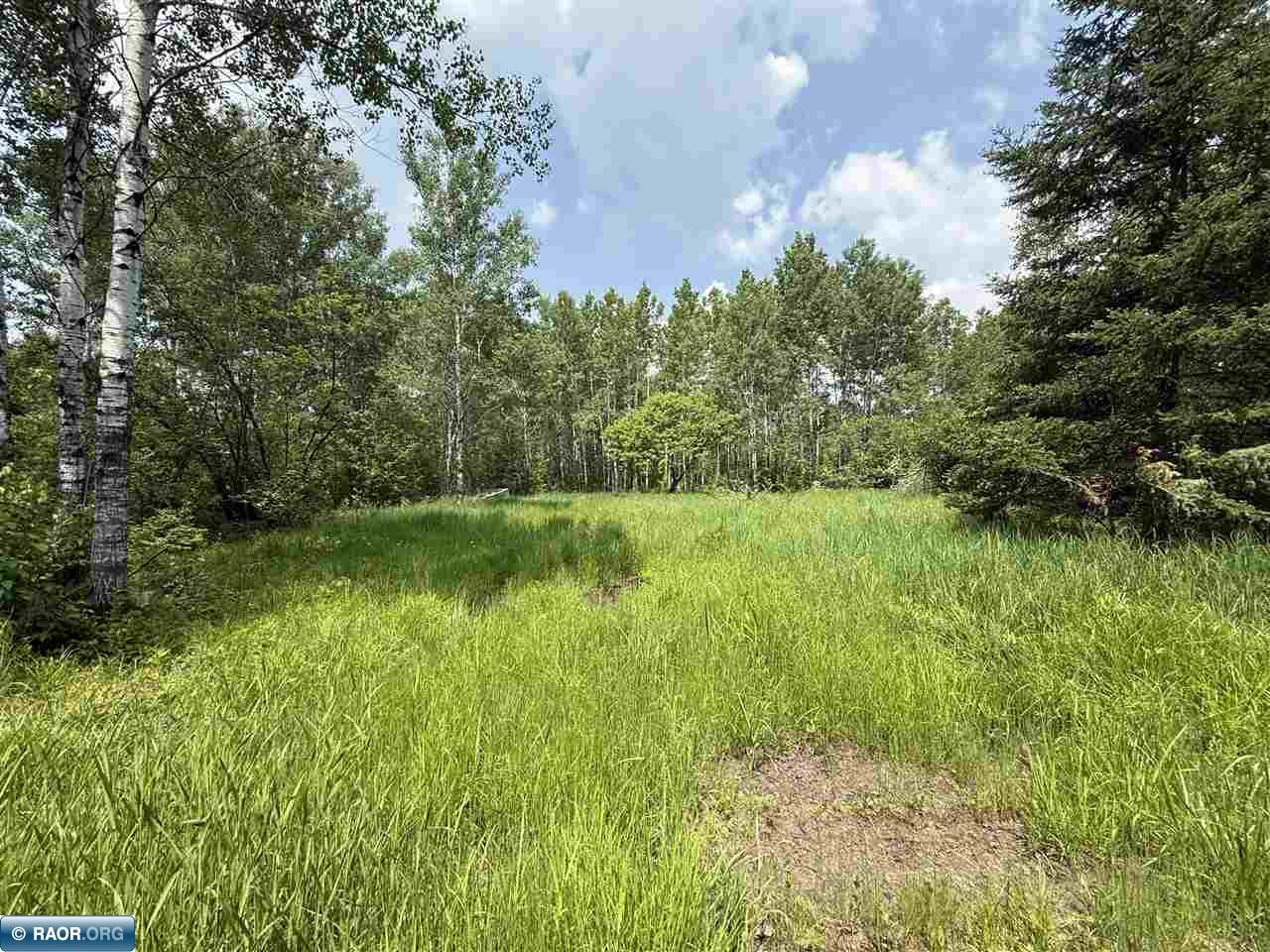 Tbd Tbd Samuelson Road-sec22 Angora, MN 55703 - Photo 8 of 43