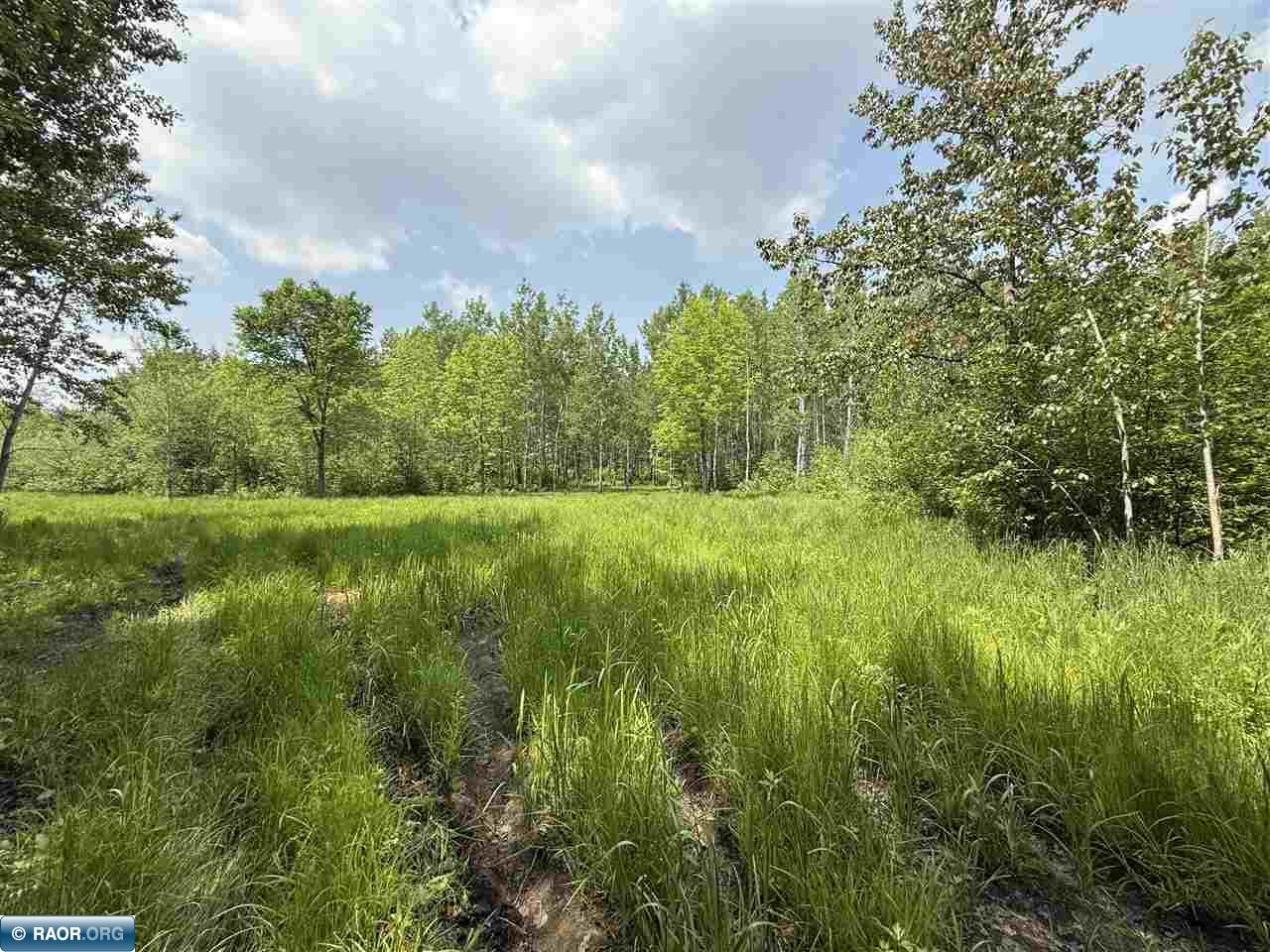 Tbd Tbd Samuelson Road-sec22 Angora, MN 55703 - Photo 9 of 43