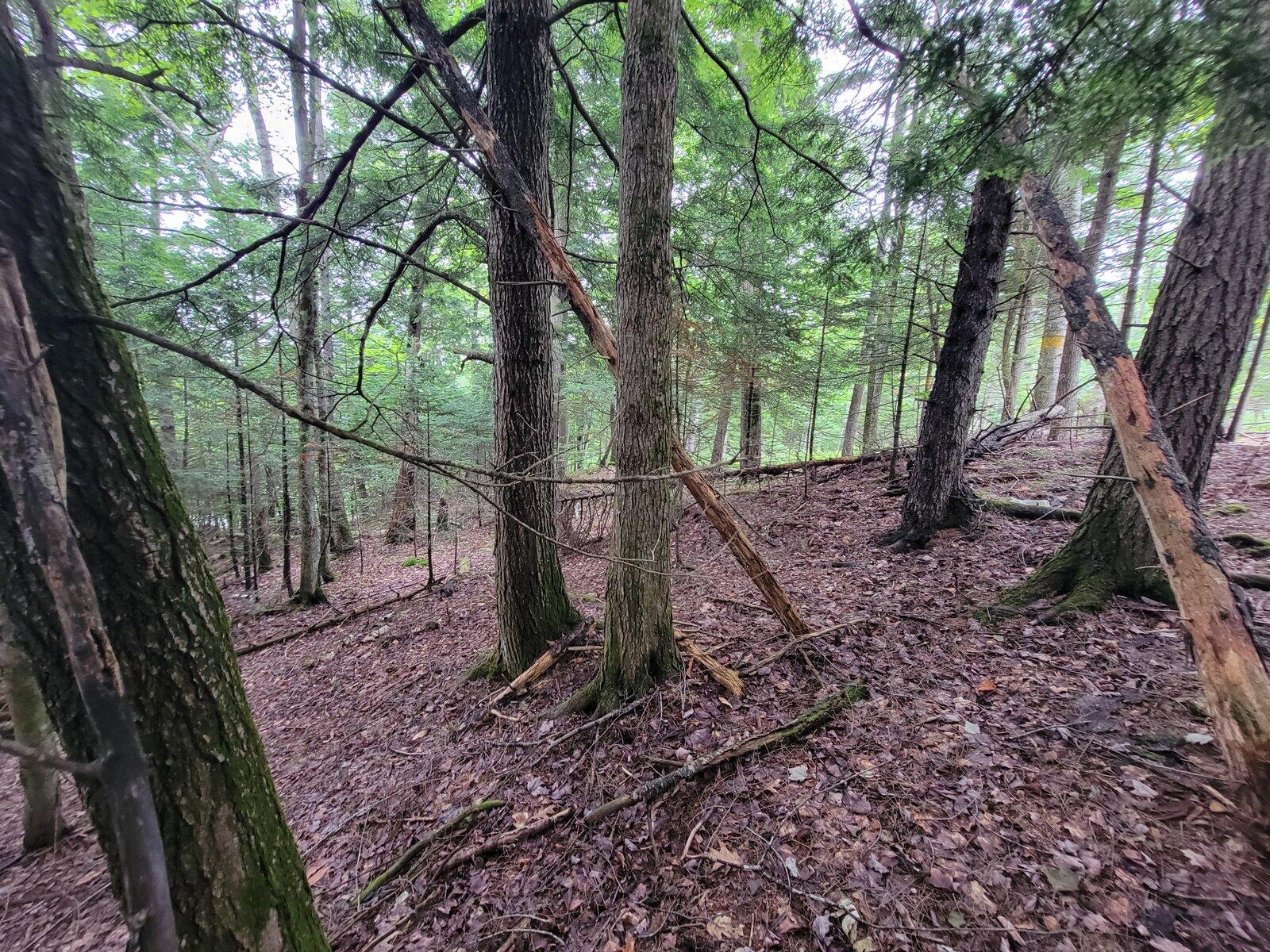 1068 Fairbanks Road Farmington, ME 04938 - Photo 53 of 56 50-Hillside