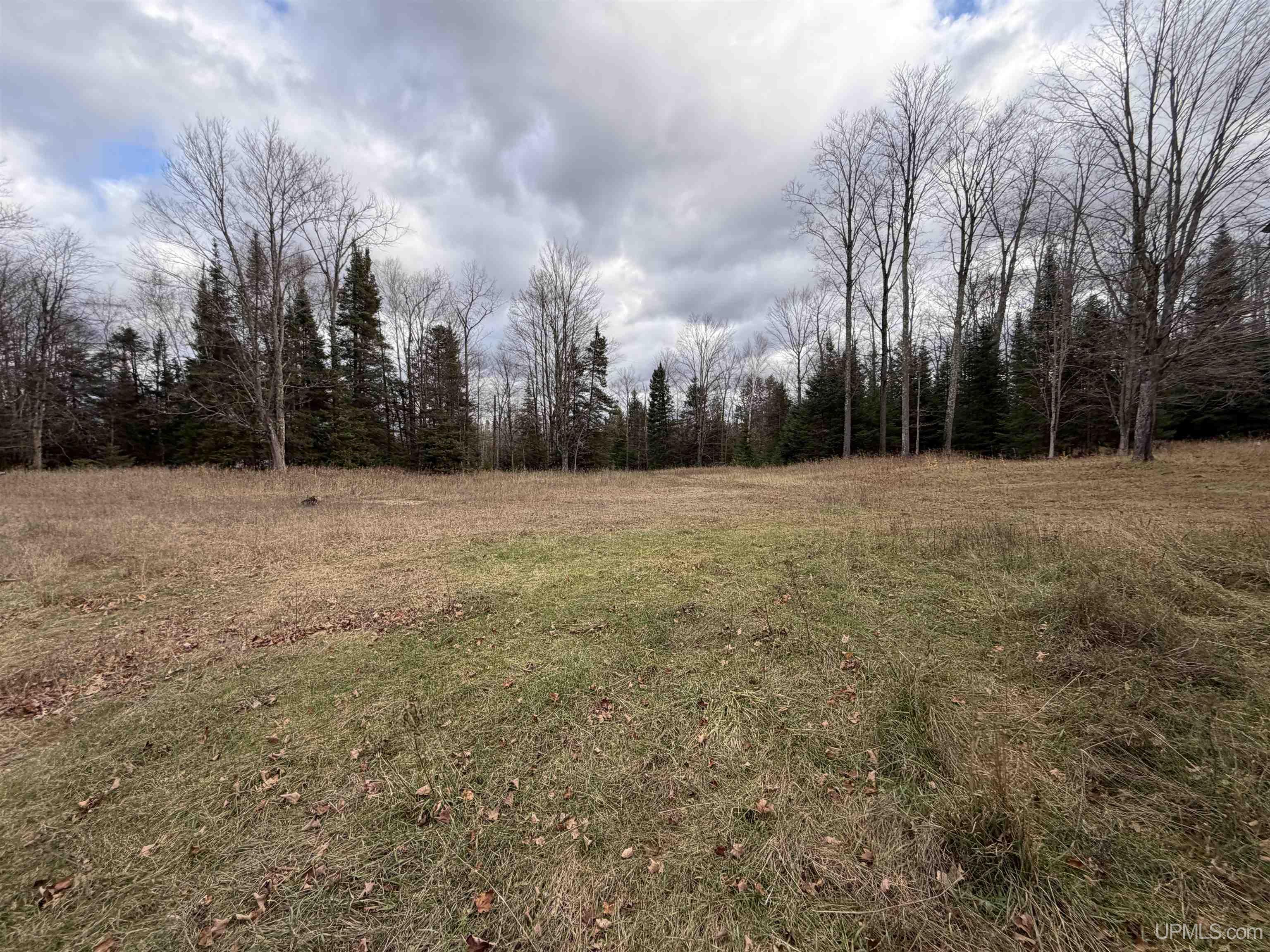 N5805 Beauchamp Road Foster City, MI 49834 - Photo 52 of 72