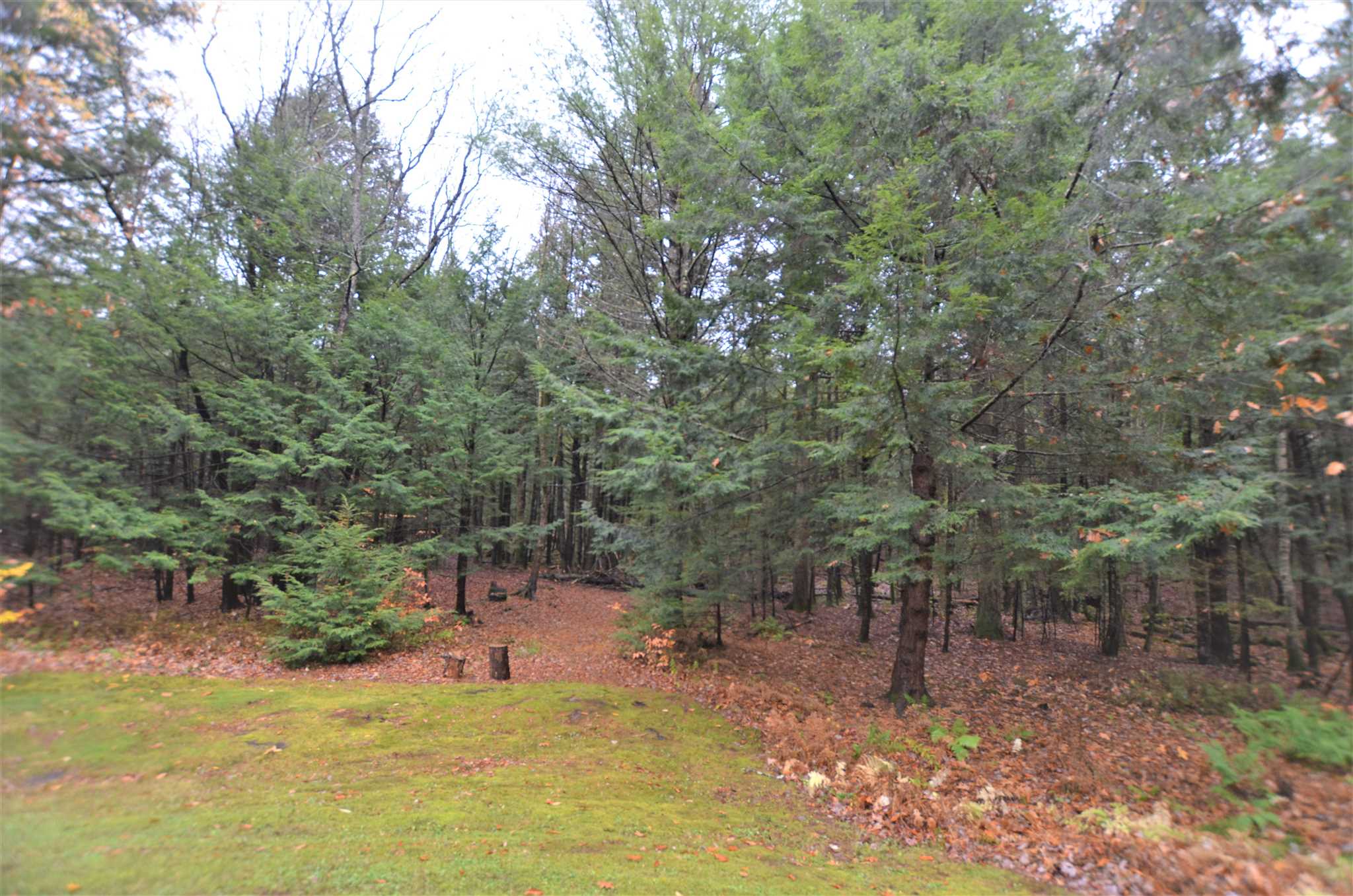 131 Bennington Road Hancock, NH 03449 - Photo 18 of 21