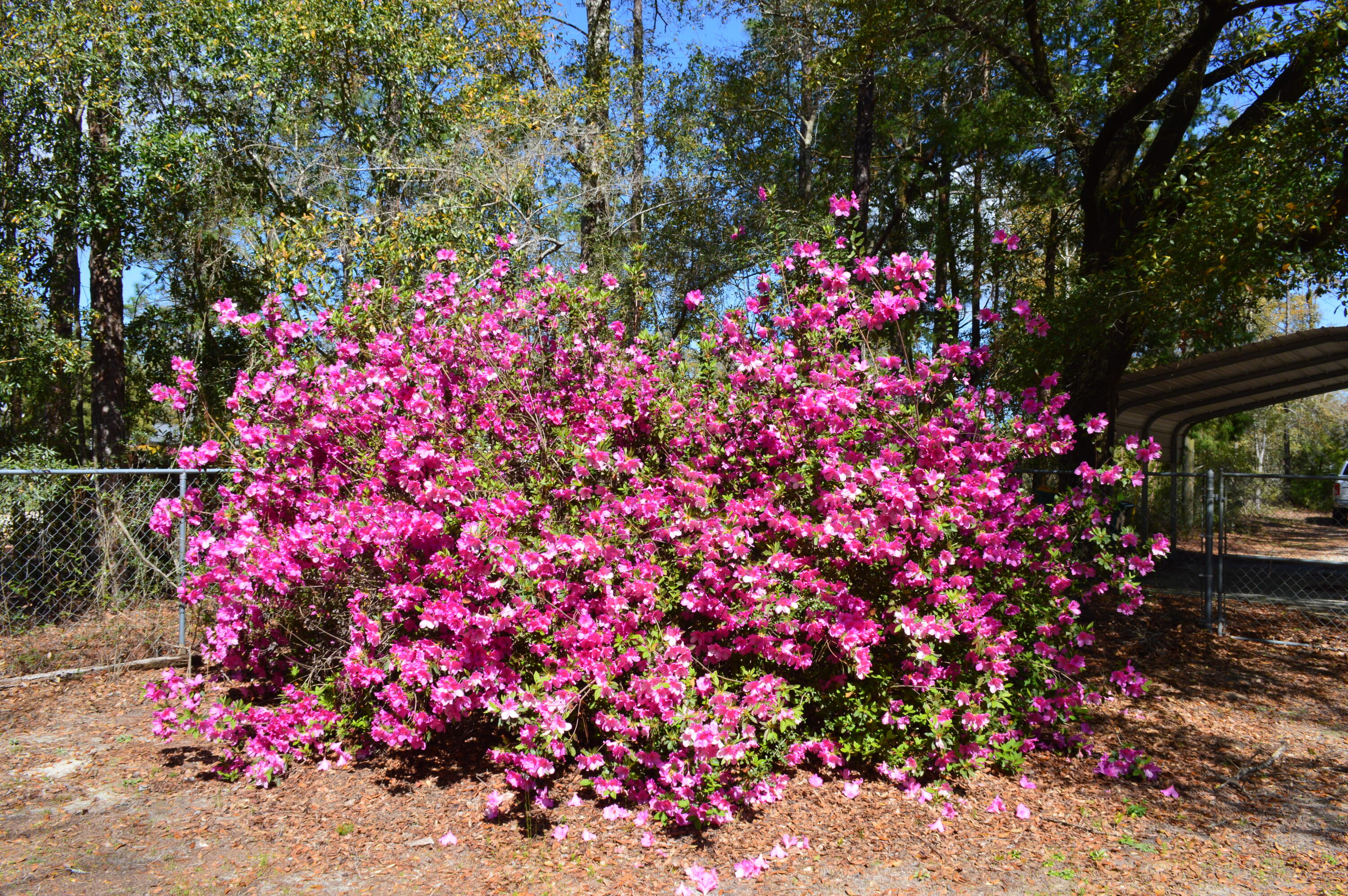 5825 Old Bethel Road Crestview, FL 32536 - Photo 38 of 44