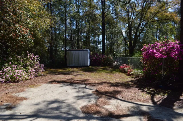 a view of backyard with green space