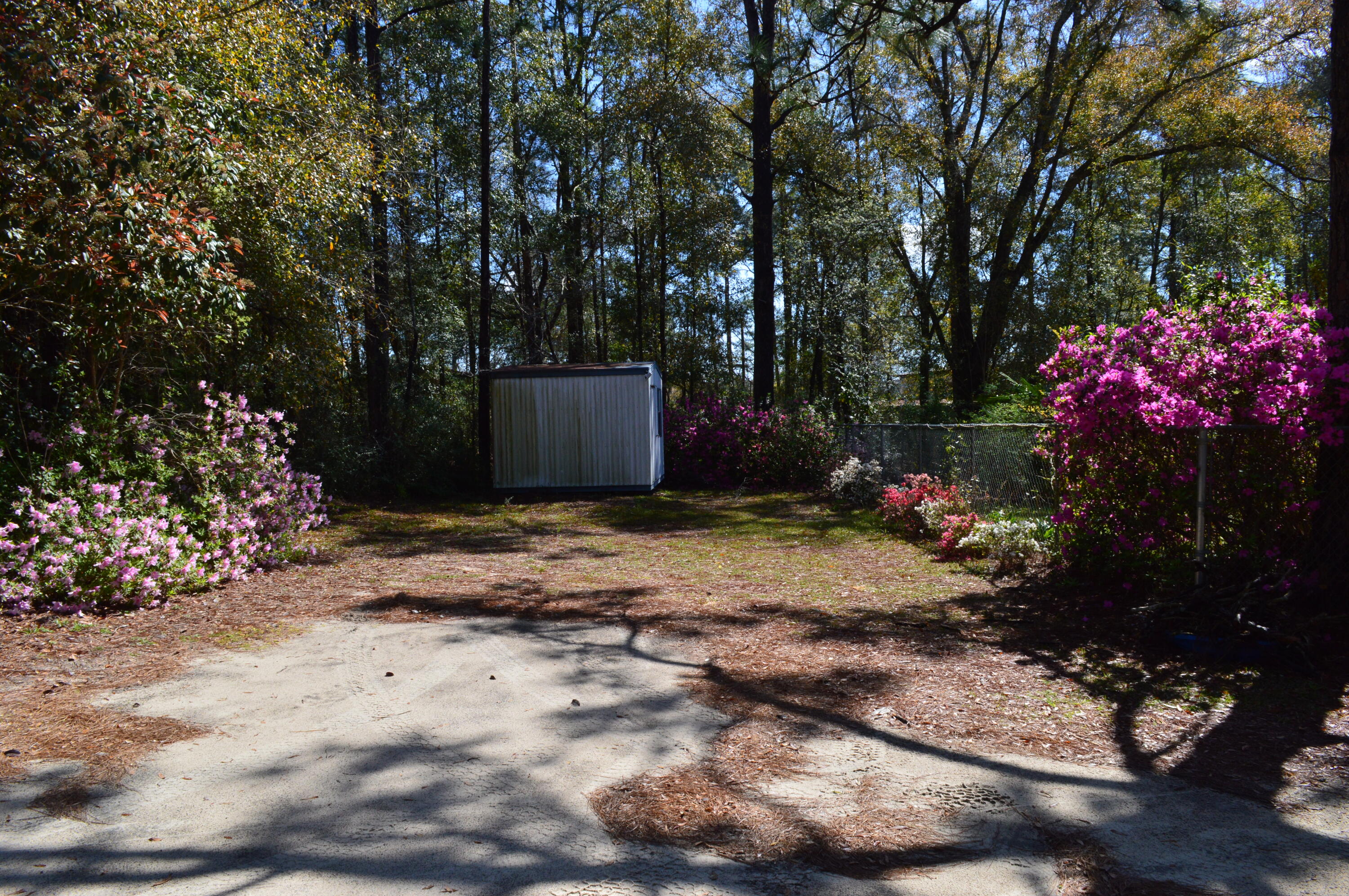 5825 Old Bethel Road Crestview, FL 32536 - Photo 40 of 44 a view of a backyard