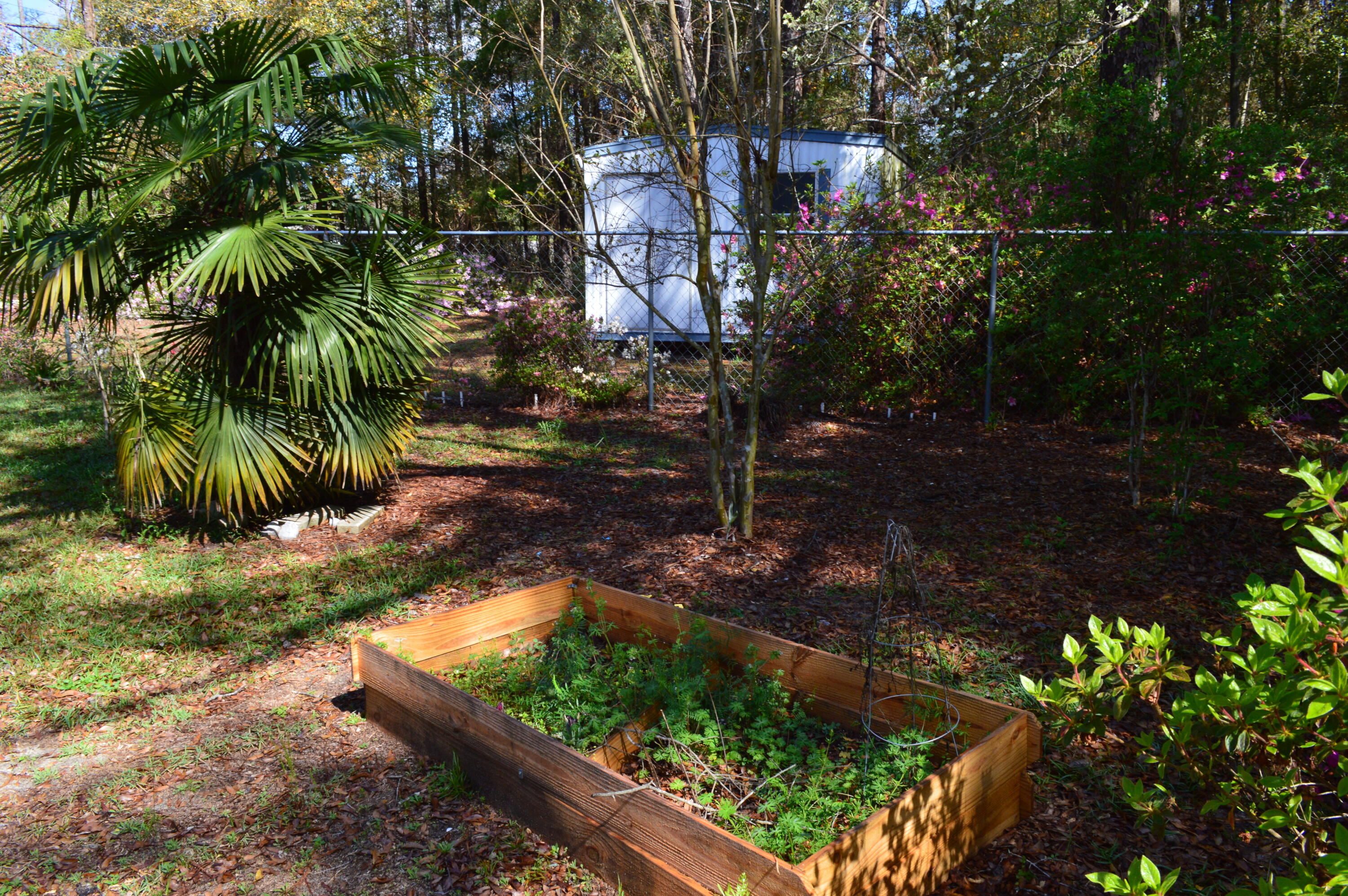 5825 Old Bethel Road Crestview, FL 32536 - Photo 41 of 44 a view of backyard with green space