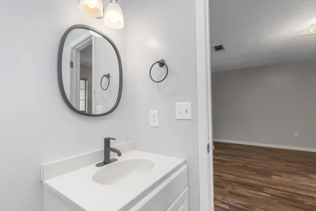 a bathroom with a sink and a mirror