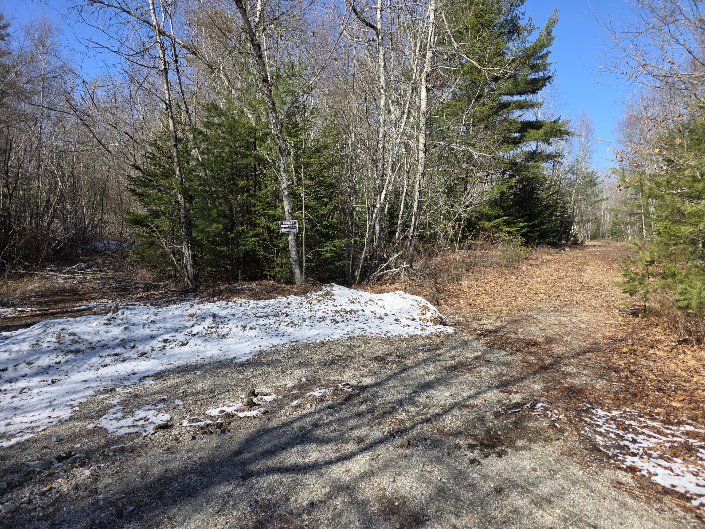 Lot 12-1 Christian Ridge Road Ellsworth, ME 04605 - Photo 5 of 10 1000004887
