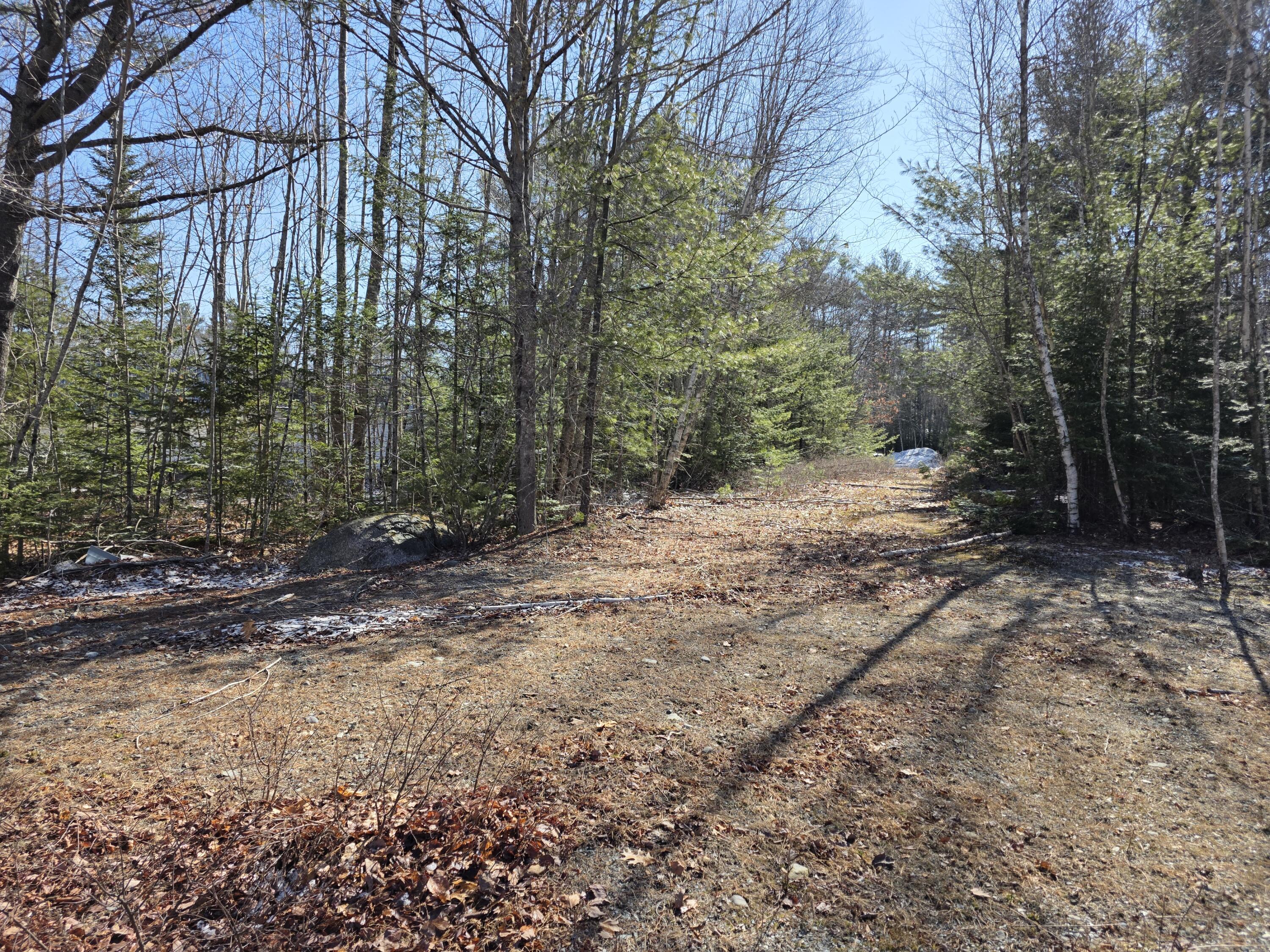Lot 12-1 Christian Ridge Road Ellsworth, ME 04605 - Photo 6 of 10 1000004889