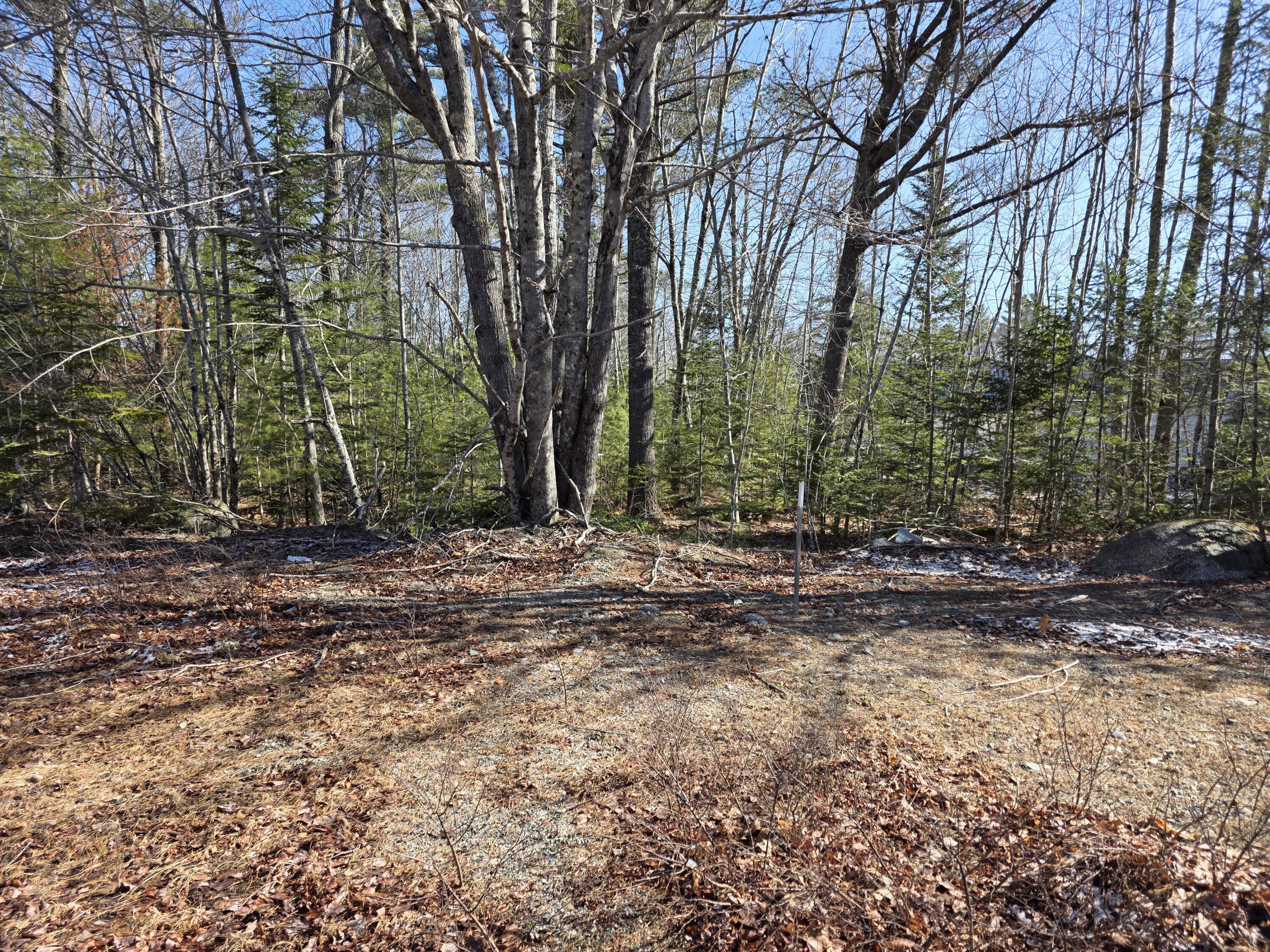 Lot 12-1 Christian Ridge Road Ellsworth, ME 04605 - Photo 7 of 10 1000004890