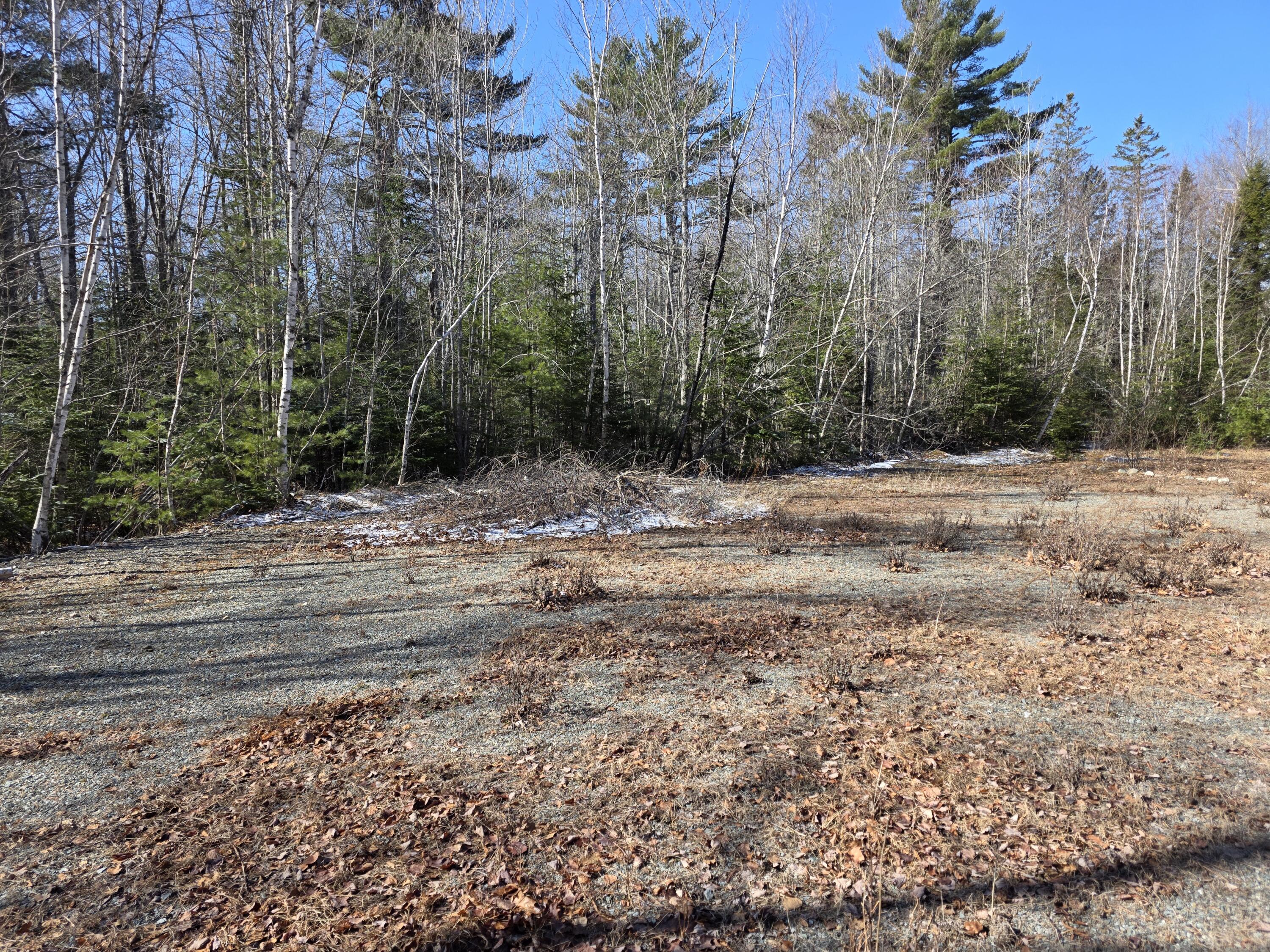 Lot 12-1 Christian Ridge Road Ellsworth, ME 04605 - Photo 8 of 10 1000004891