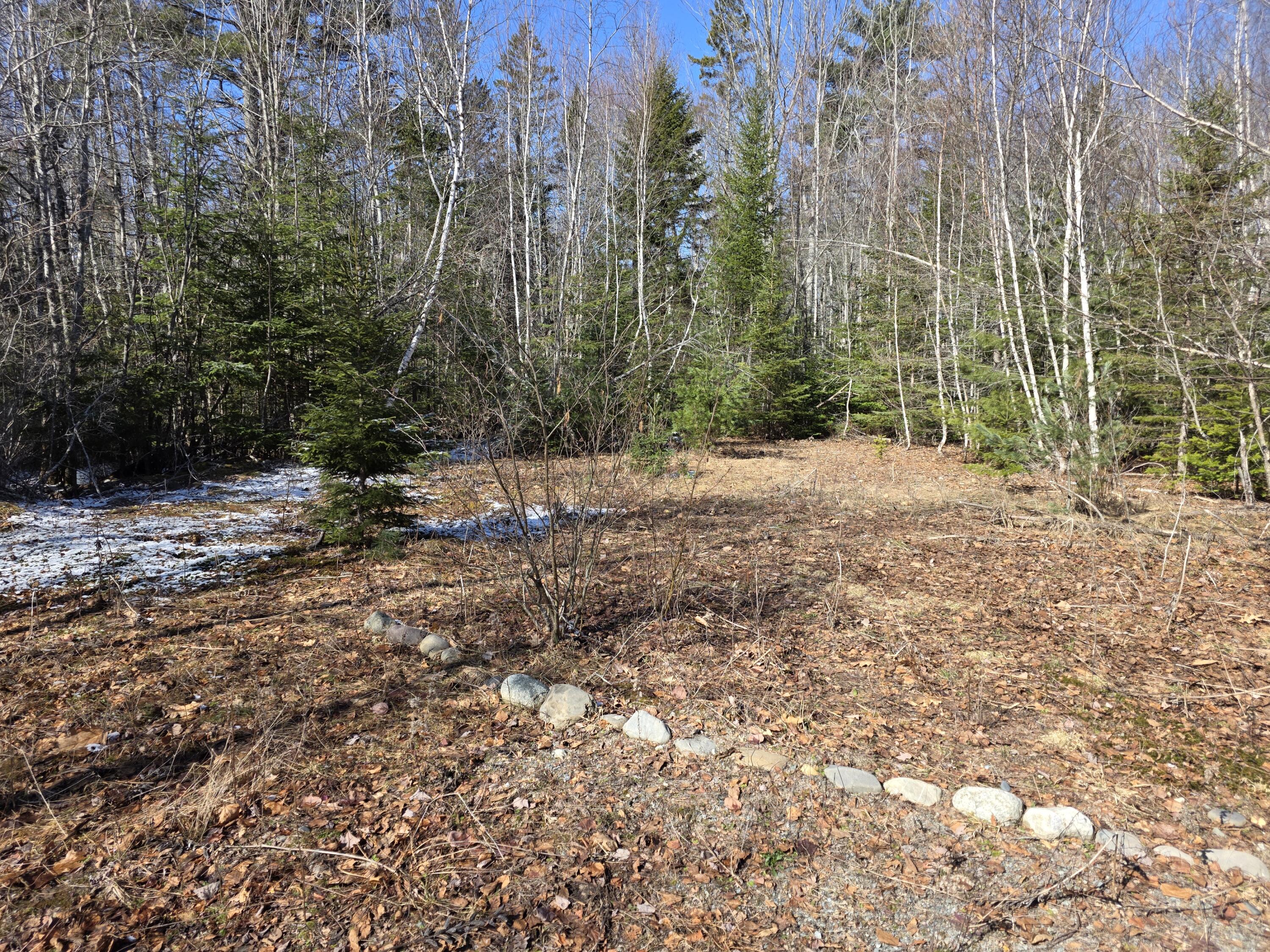 Lot 12-1 Christian Ridge Road Ellsworth, ME 04605 - Photo 9 of 10 1000004892
