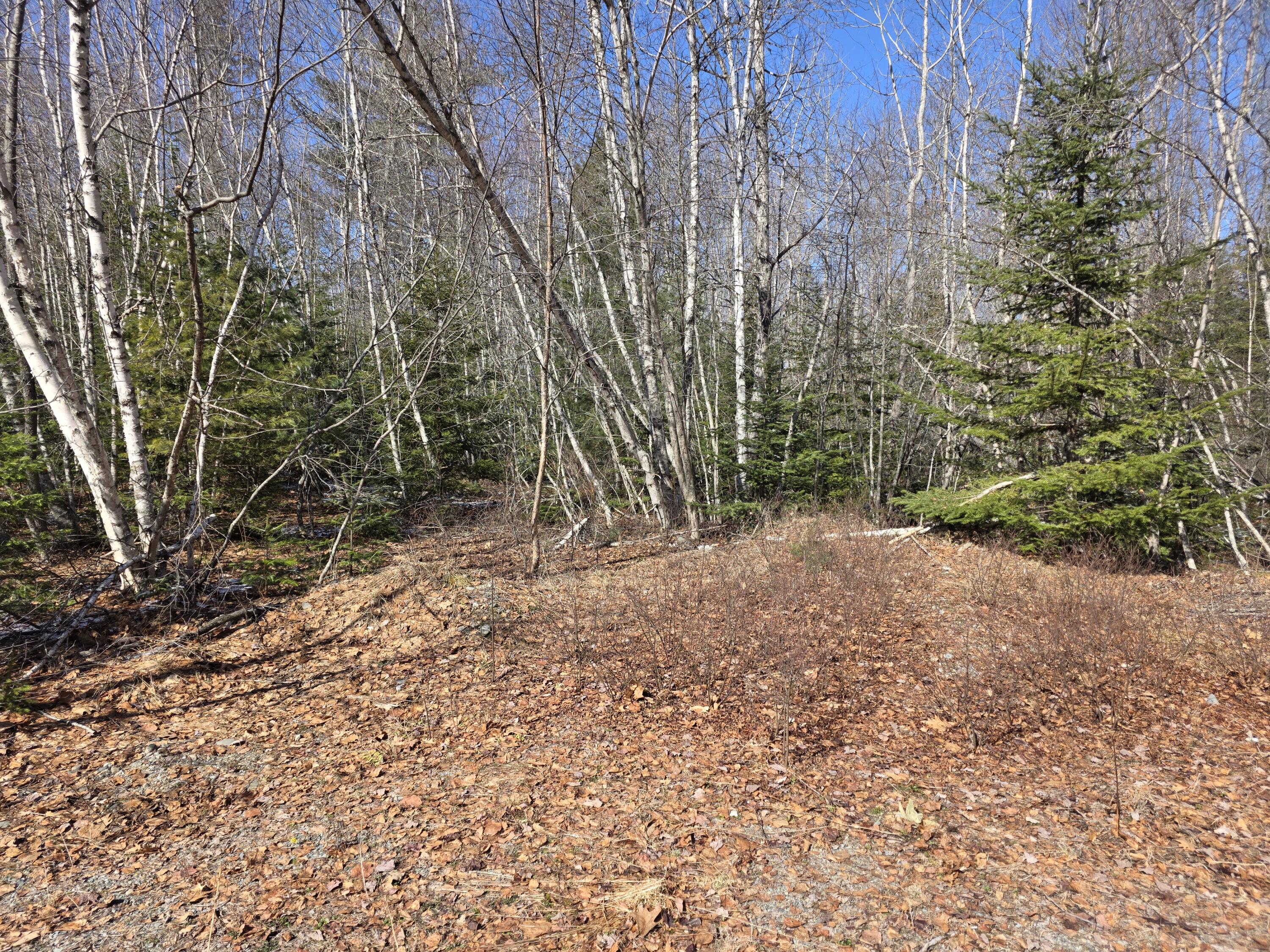 Lot 12-1 Christian Ridge Road Ellsworth, ME 04605 - Photo 10 of 10 1000004893