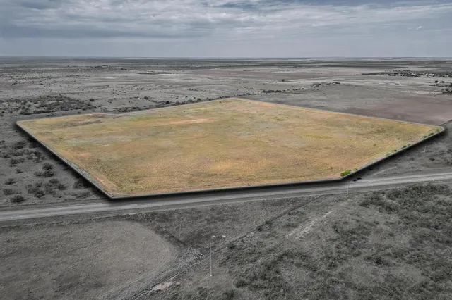 a view of a dry yard