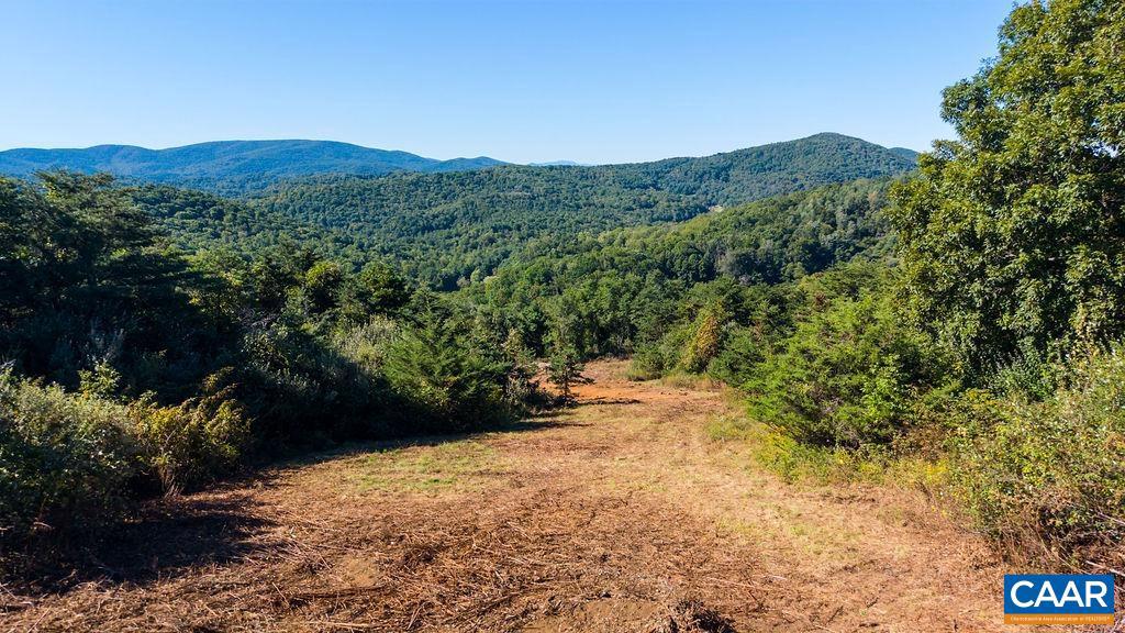 Lot 2 Twelve Rdgs Way, Unit 2 Vesuvius, VA 24483 - Photo 2 of 18 Gallery Image 2