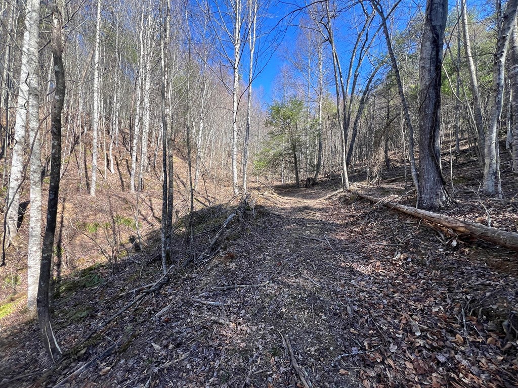 Tbd Tbd Pine Grove Road Austinville, VA 24312 - Photo 6 of 26 Gallery Image 6