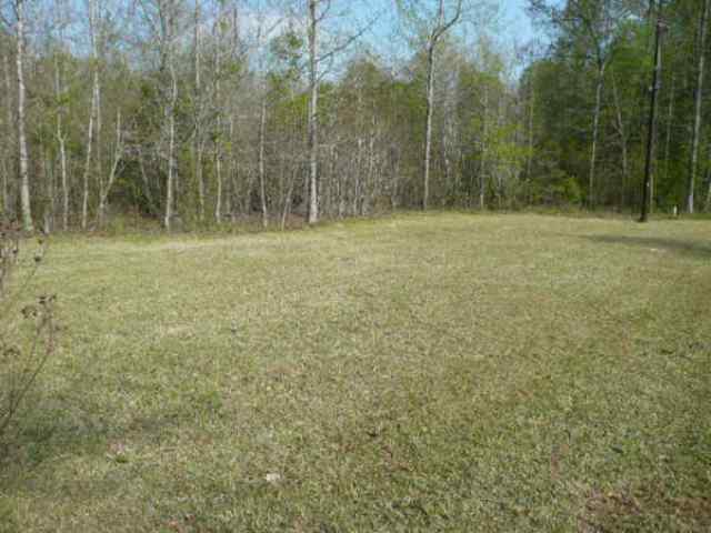 1410 Henry Thomas Road Belton, SC 29627 - Photo 3 of 3