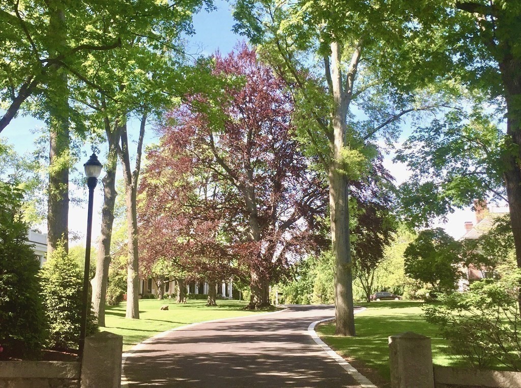 5 Sumner Lane Belmont, MA 02478 - Photo 40 of 41