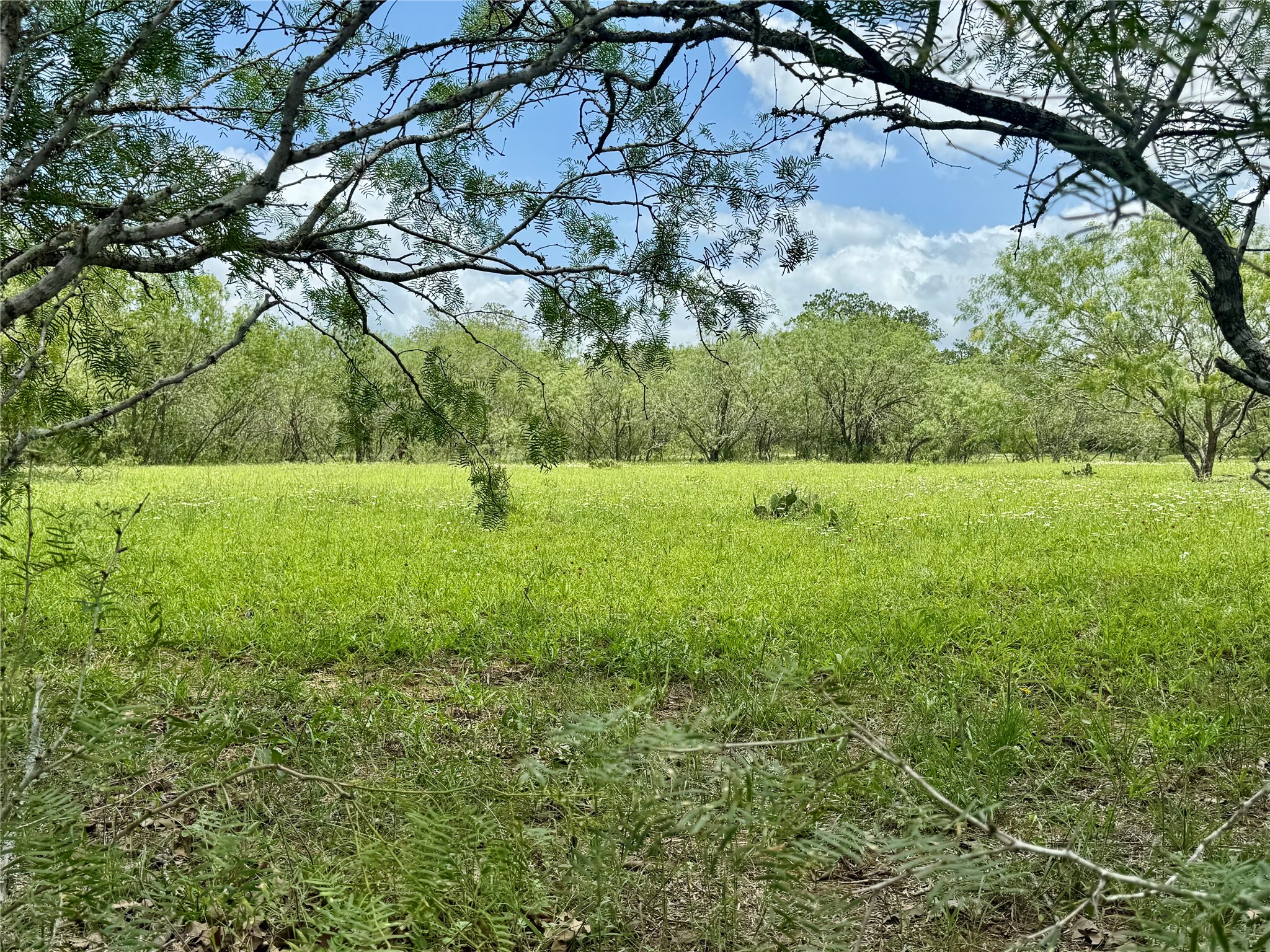 0 Batey Road Nixon, TX 78140 - Photo 13 of 13 a view of outdoor space with deck and yard
