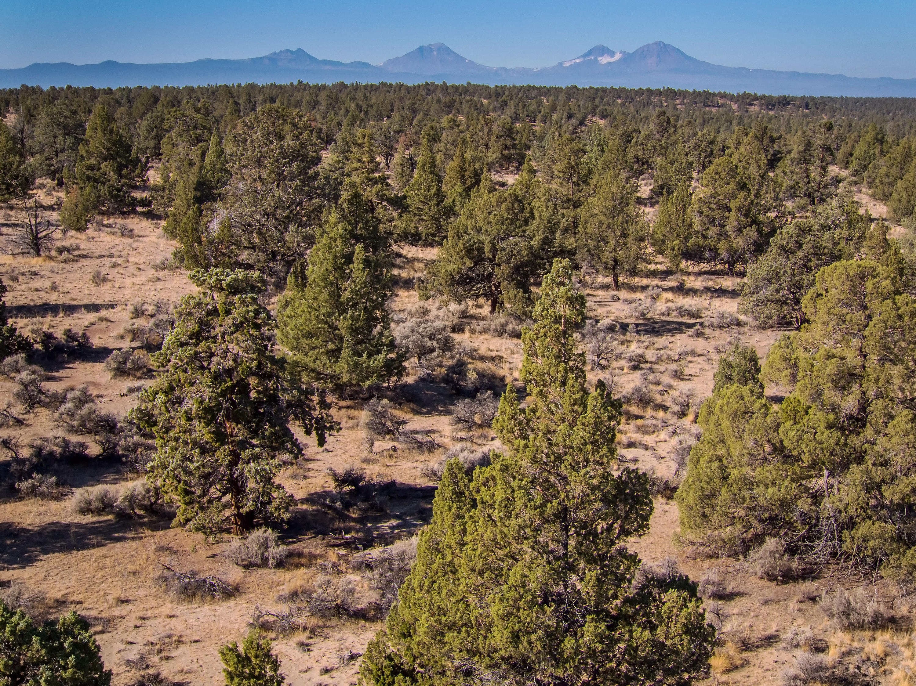 3250 Southwest Cline Falls Road Redmond, OR 97756 - Photo 24 of 53 3250-3300 NW Cline Falls Rd._018