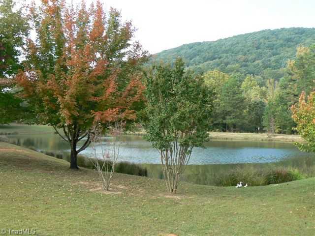 1445 Old County Farm Road Sophia, NC 27350 - Photo 2 of 7 Remarks. 2 Ac Pond w Caraway Mountain View