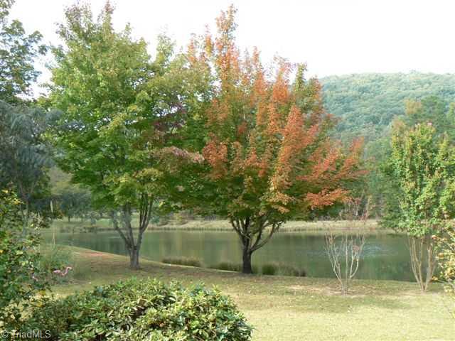 1445 Old County Farm Road Sophia, NC 27350 - Photo 3 of 7 Remarks. Park-Like View From Front Porch