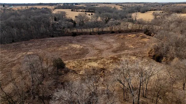 $325,000 | Flint Avenue, Jameson, MO 64647