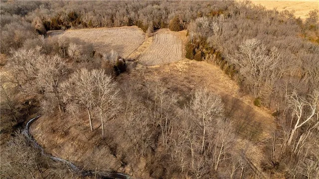 $325,000 | Flint Avenue, Jameson, MO 64647