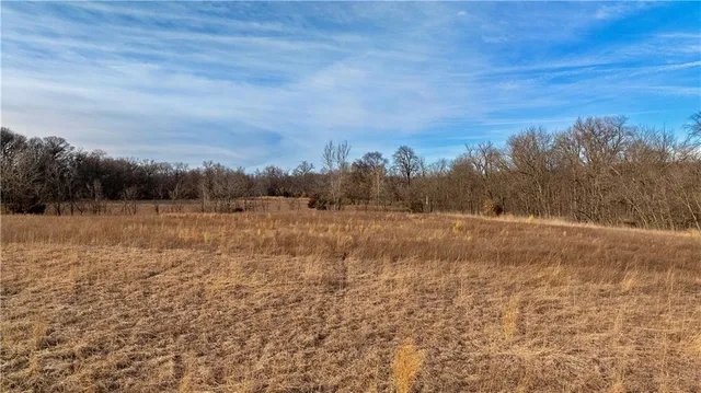 $325,000 | Flint Avenue, Jameson, MO 64647