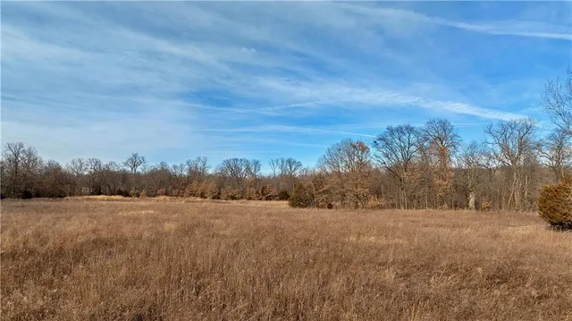 $325,000 | Flint Avenue, Jameson, MO 64647