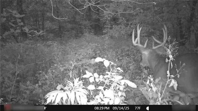 $325,000 | Flint Avenue, Jameson, MO 64647