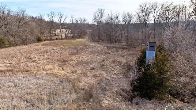 $325,000 | Flint Avenue, Jameson, MO 64647