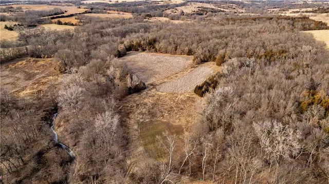 $325,000 | Flint Avenue, Jameson, MO 64647