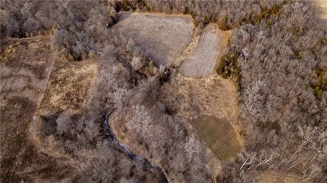 $325,000 | Flint Avenue, Jameson, MO 64647