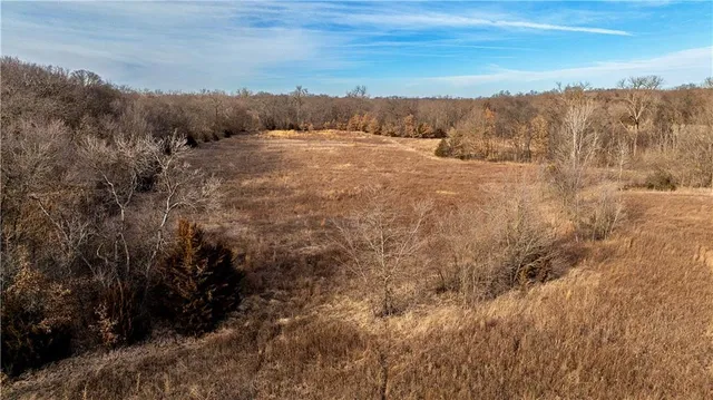 $325,000 | Flint Avenue, Jameson, MO 64647